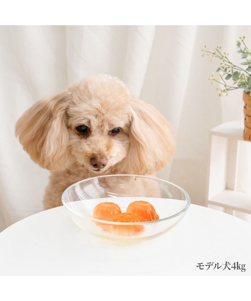PET PARADISE 5種の野菜＆フルーツゼリー 8個入り 
