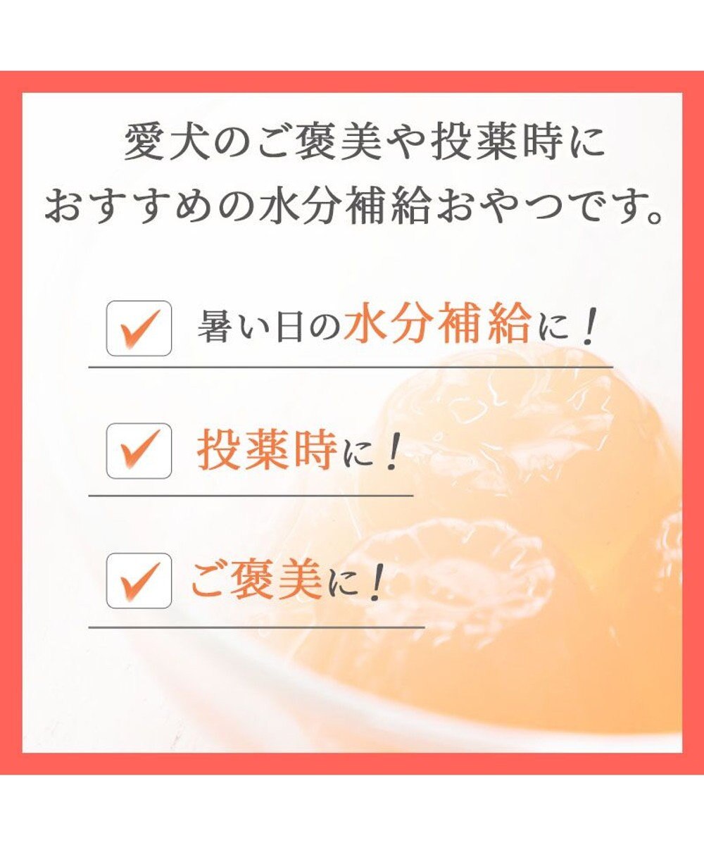 PET PARADISE 5種の野菜＆フルーツゼリー 8個入り 