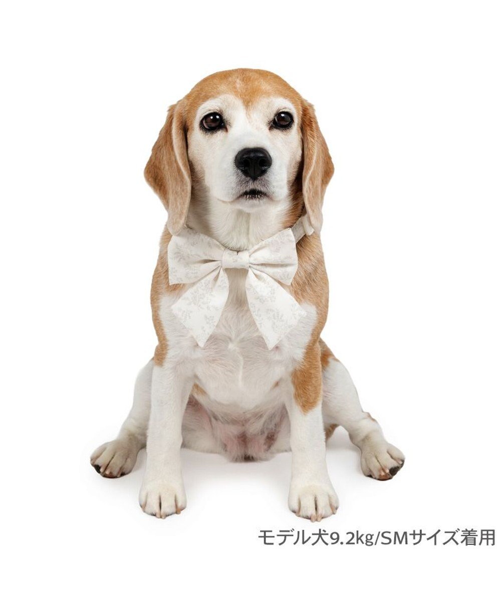 PET PARADISE ペットパラダイス 花柄りぼん 首輪 ＳＭ 中型犬 