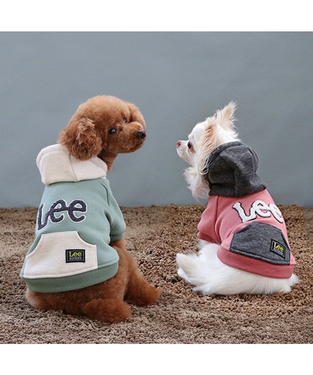 PET PARADISE Ｌｅｅ サガラ刺繍 パーカー  《グリーン》 小型犬 