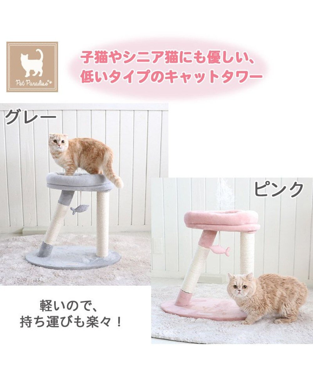 PET PARADISE 猫 キャットタワー 55cm スリム 