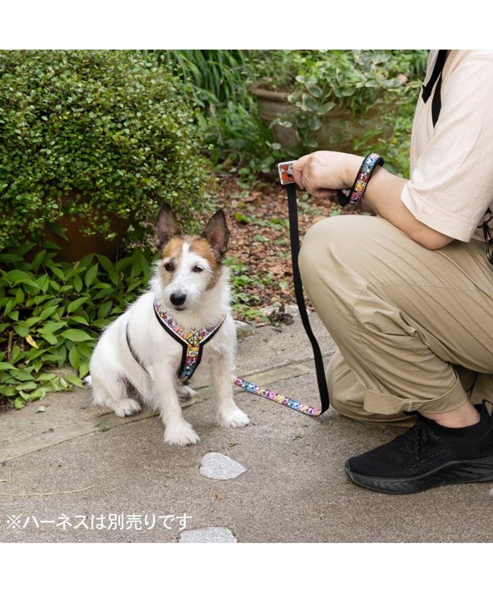 PET PARADISE スヌーピー 75周年 リード 小型犬 ～S 
