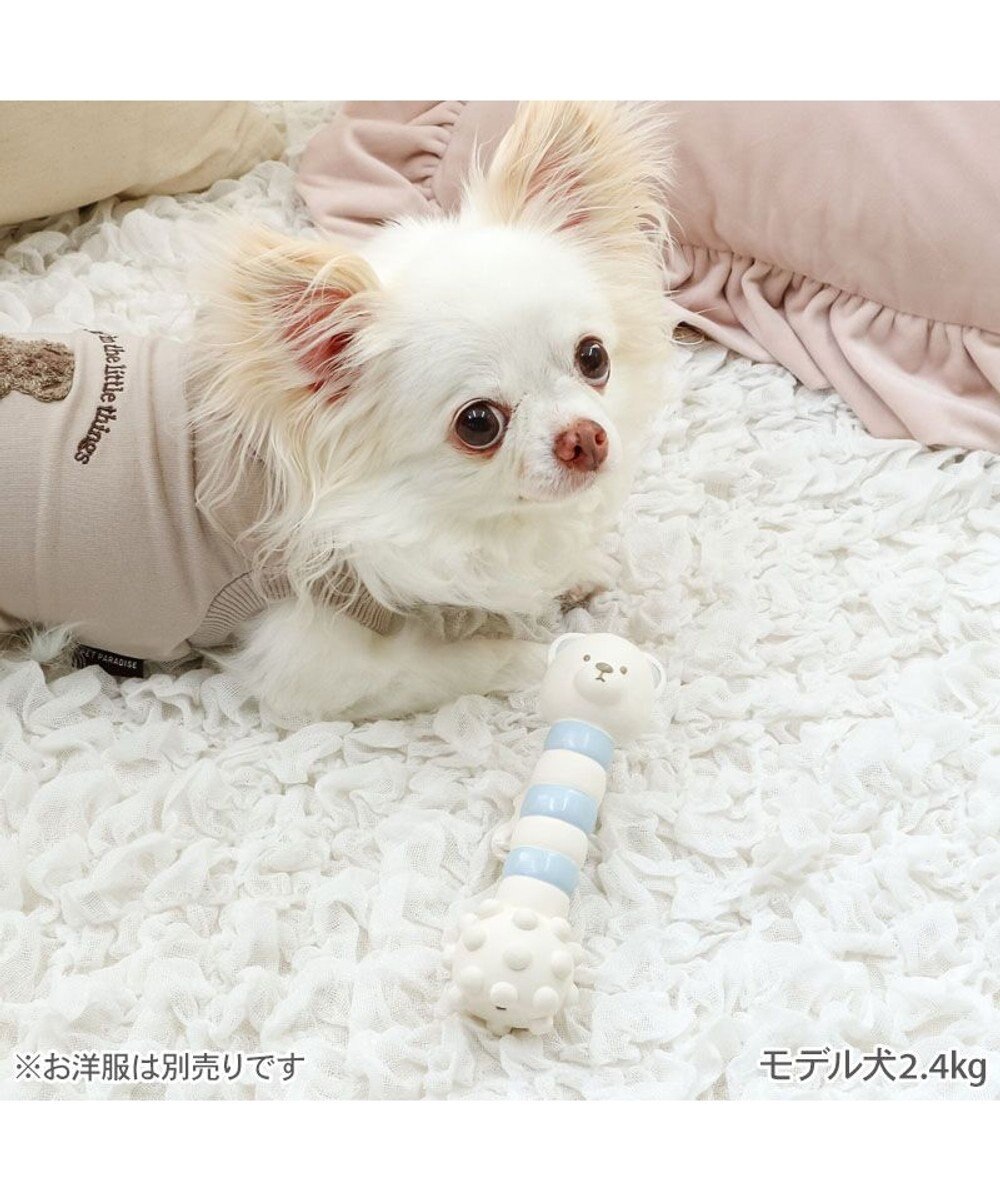 PET PARADISE ペットパラダイス くまちゃん ラテックス トイ 《ホワイト》 