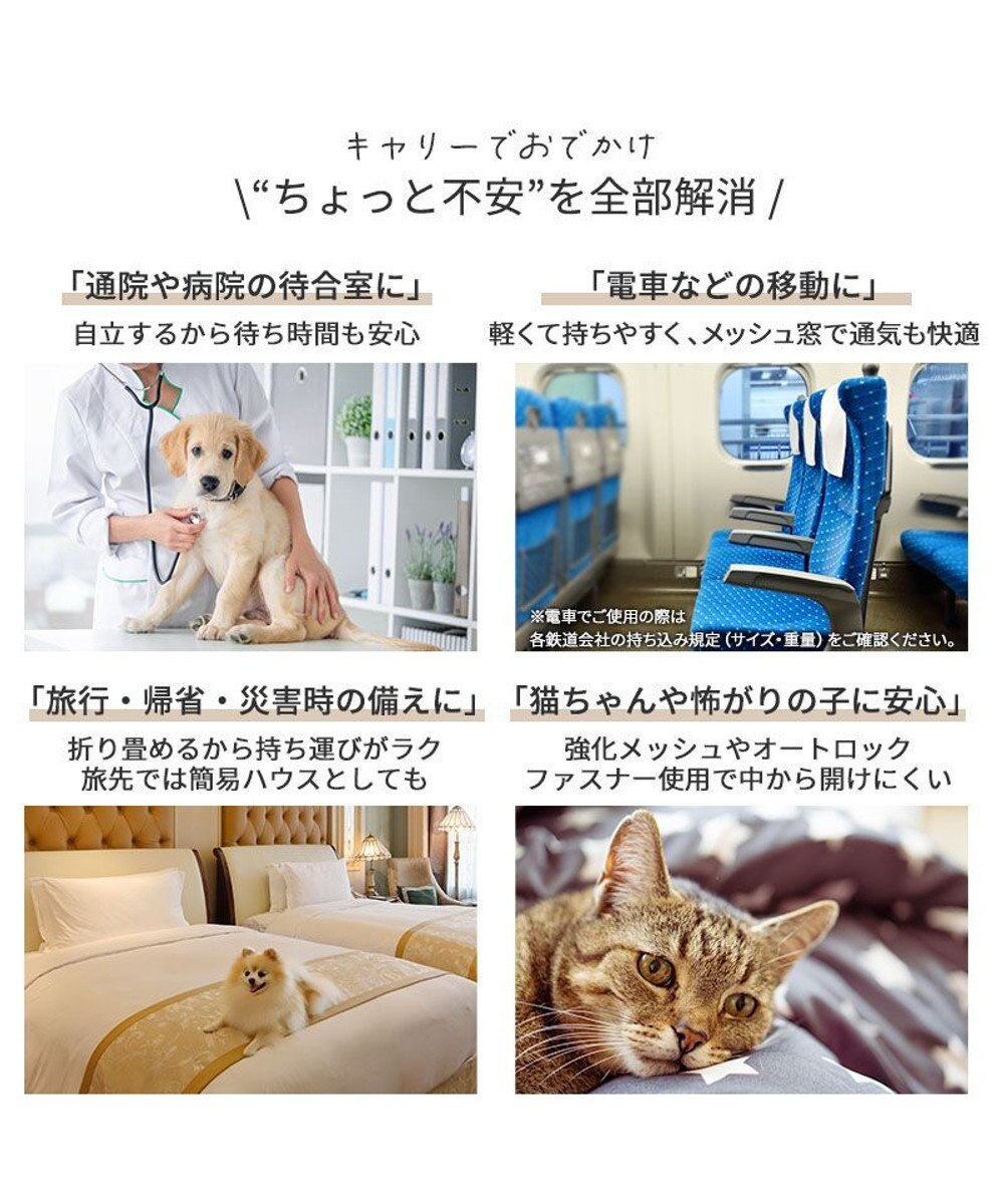 PET PARADISE スヌーピー ワッペン 折り畳み キャリーバッグ Ｓ 
