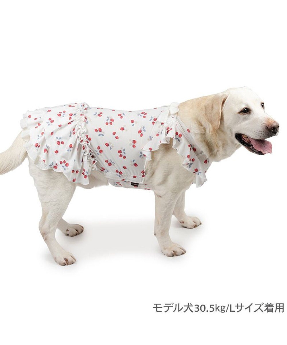 PET PARADISE ペットパラダイス  エコメイド ワンピース 《苺柄》 中型犬 大型犬 
