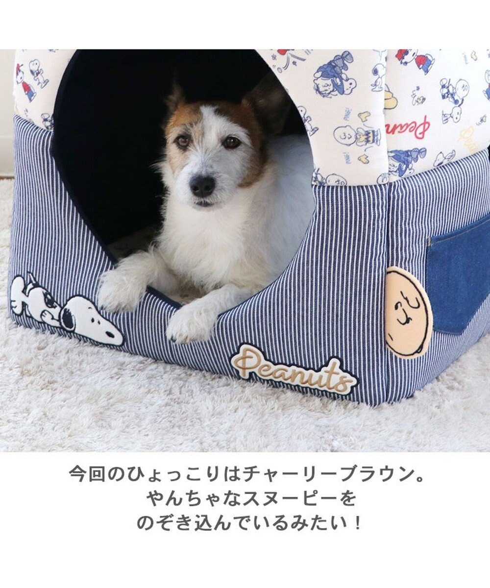 PET PARADISE スヌーピー ２ｗａｙヒッコリー ハウス (46×46cm) 
