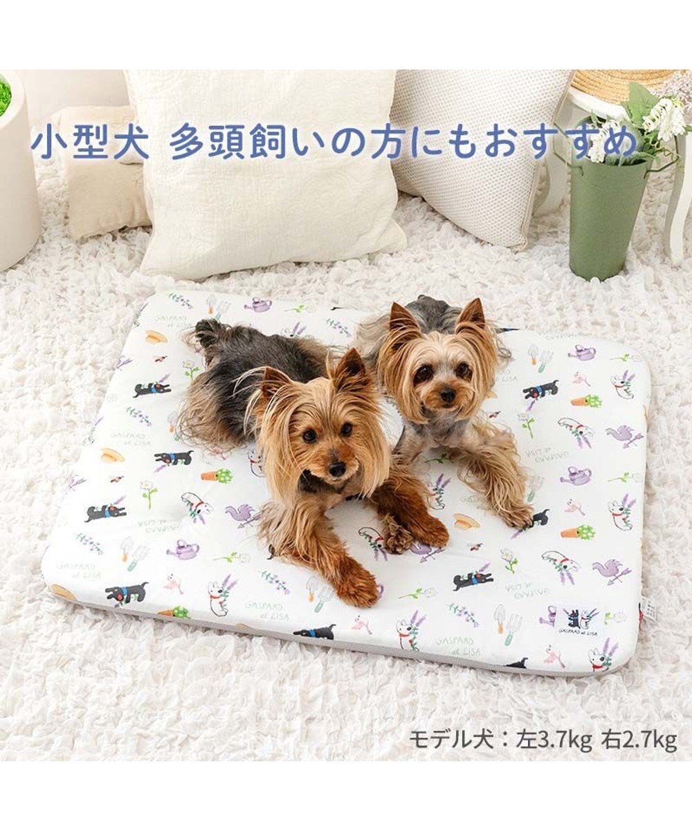 PET PARADISE リサとガスパール もちっと クールマット 