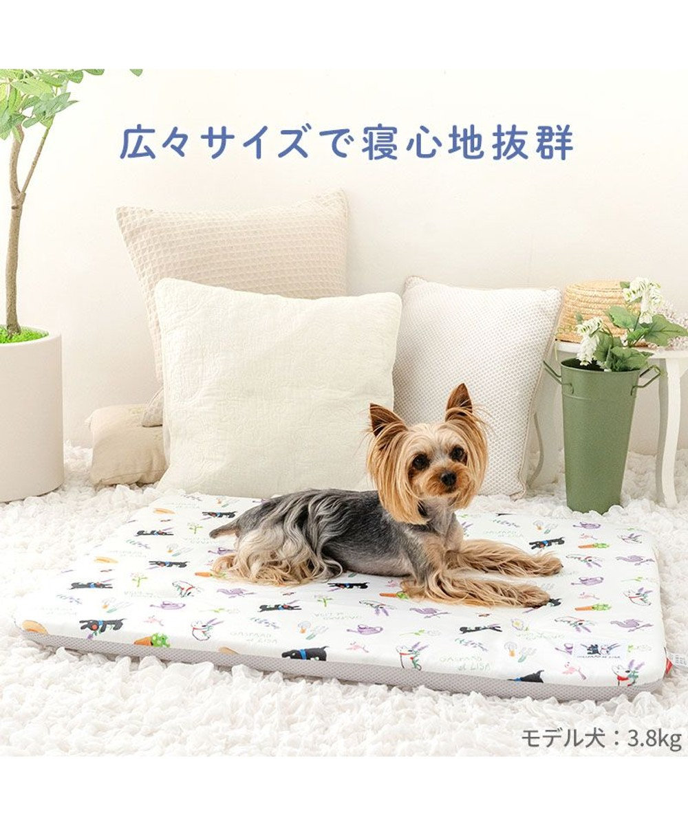 PET PARADISE リサとガスパール もちっと クールマット 