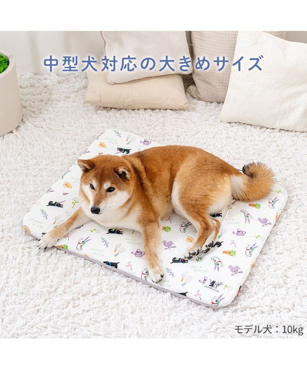 PET PARADISE リサとガスパール もちっと クールマット 