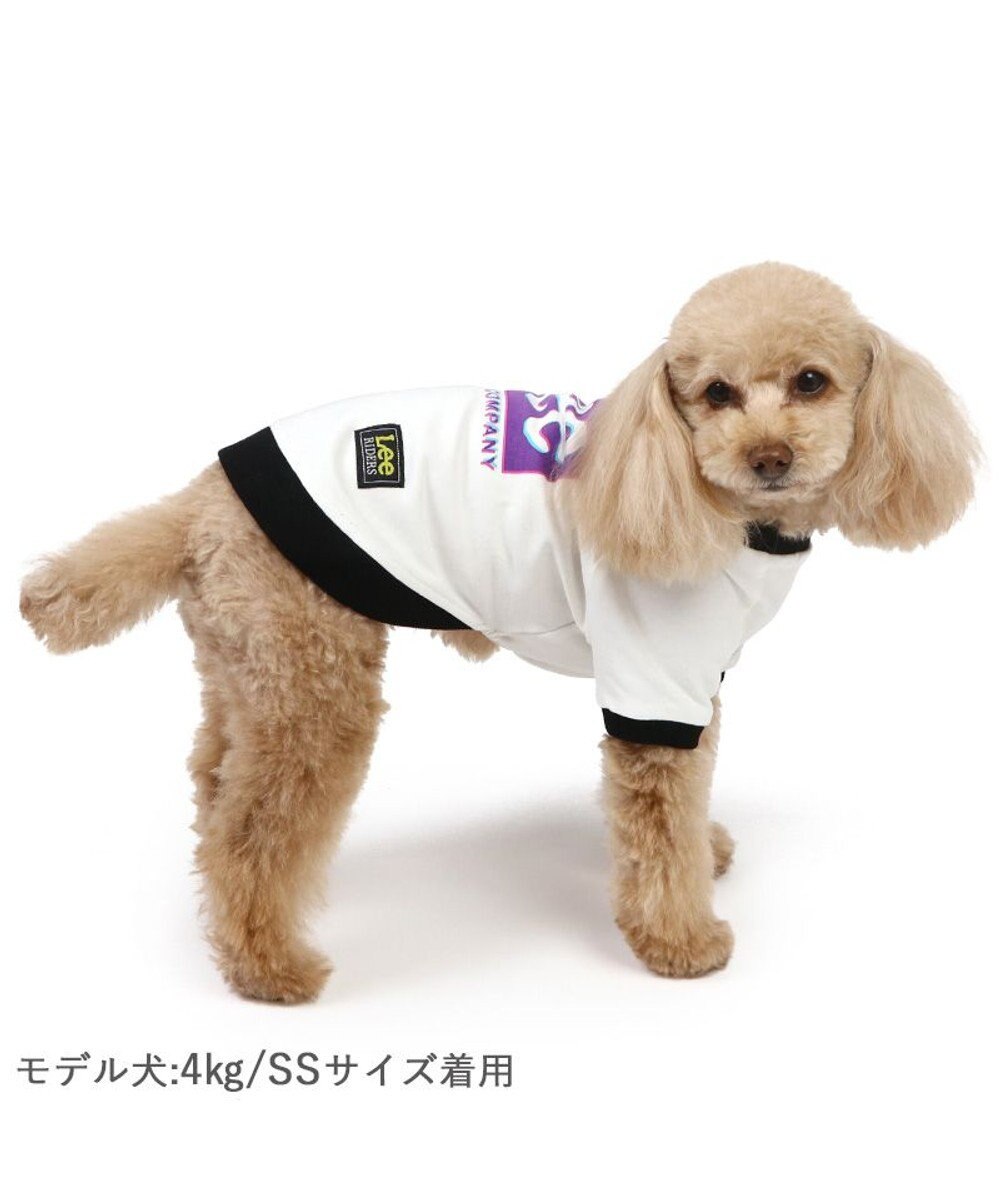PET PARADISE Lee 四角 ロゴトレーナー 小型犬 