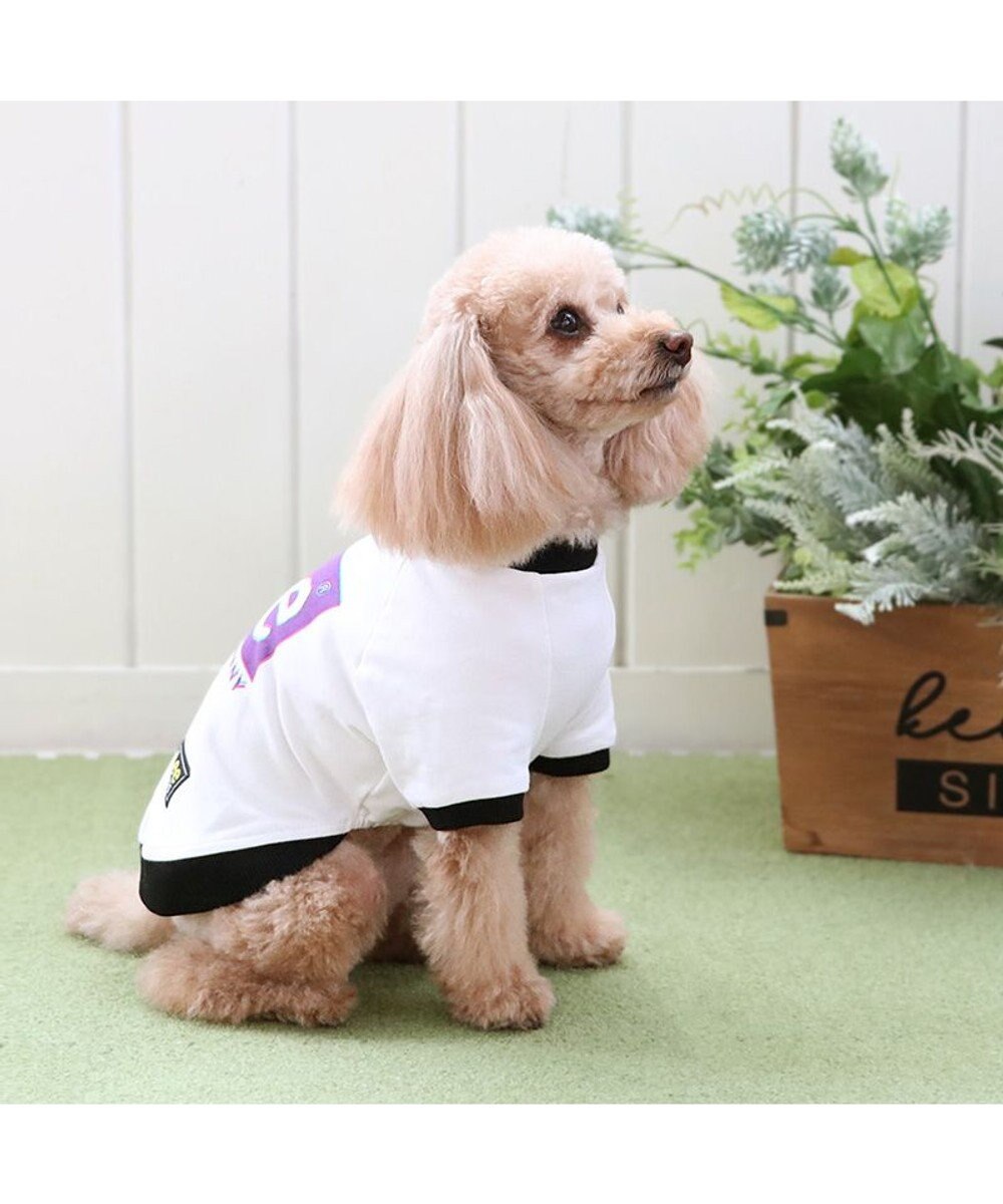 PET PARADISE Lee 四角 ロゴトレーナー 小型犬 