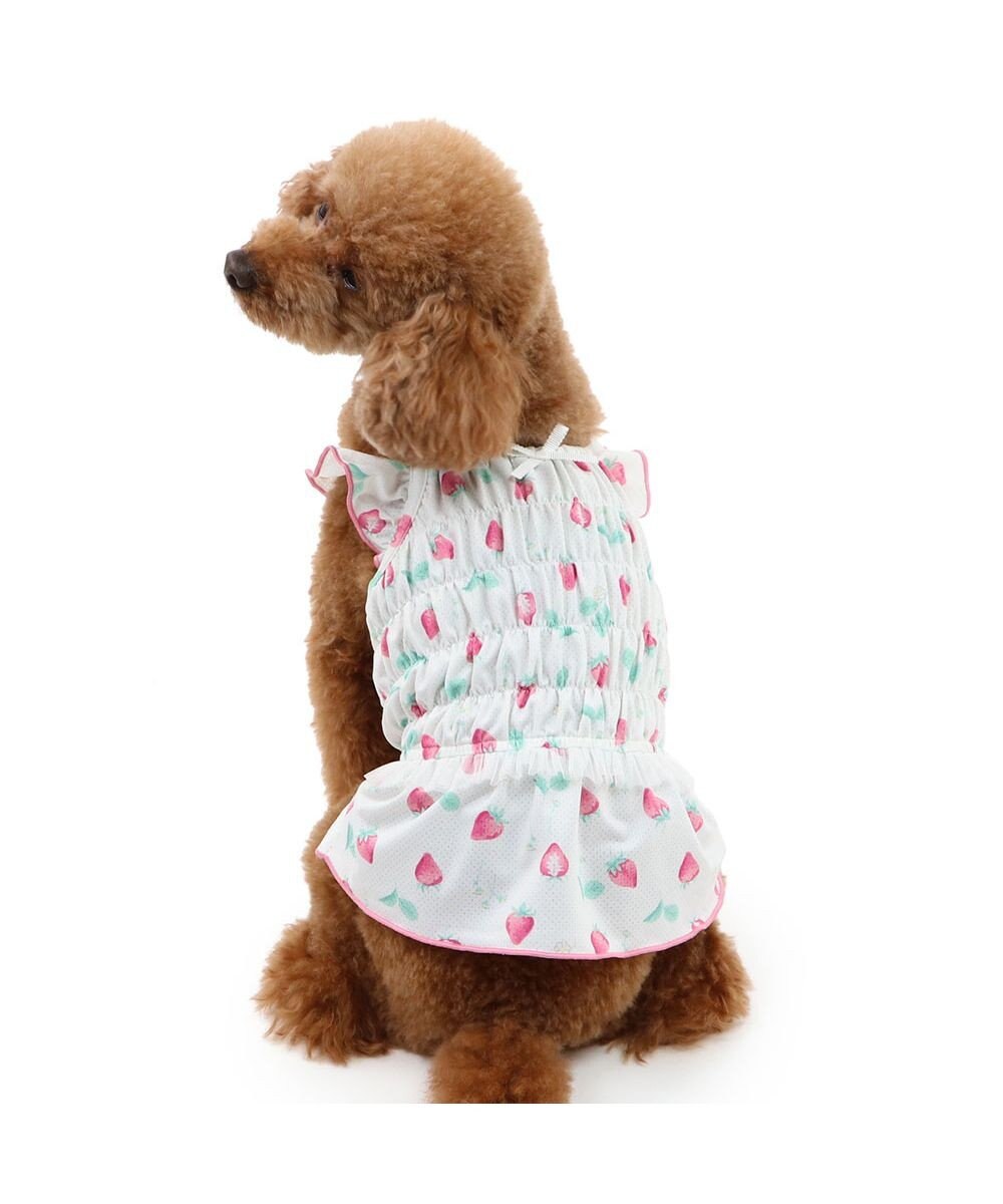 PET PARADISE ペットパラダイス エコメイド キャミソール 《苺柄》 小型犬 