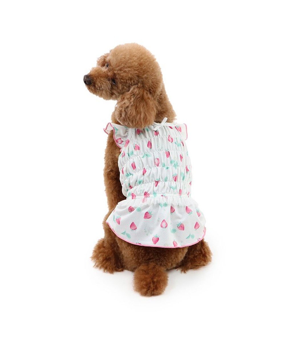 PET PARADISE ペットパラダイス エコメイド キャミソール 《苺柄》 小型犬 