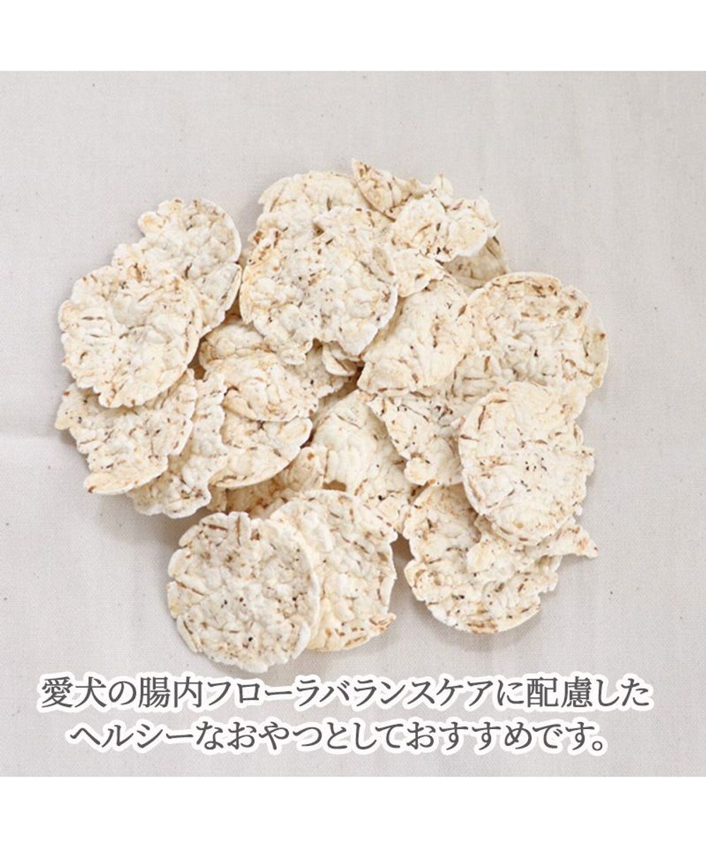 PET PARADISE  大麦 ヘルシー チップス 30g 