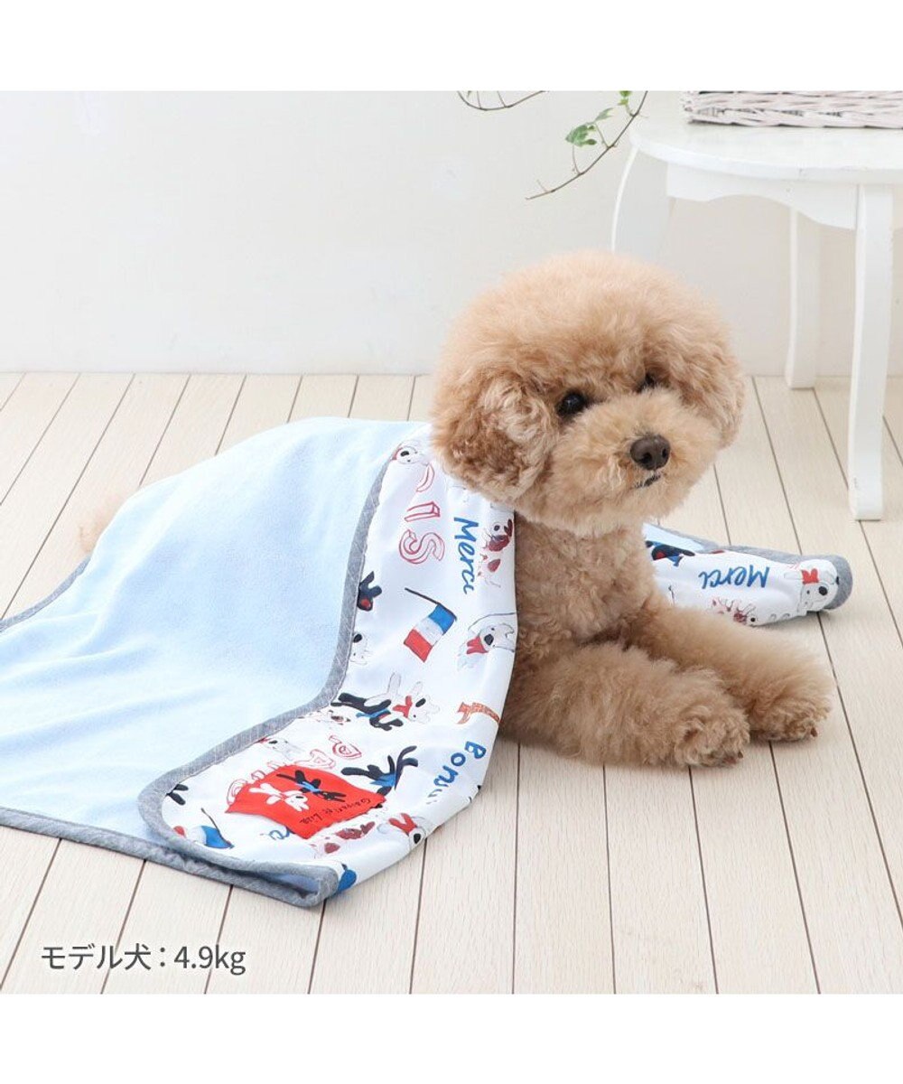 PET PARADISE リサとガスパール クール ブランケット 《パリ柄》 小型犬 