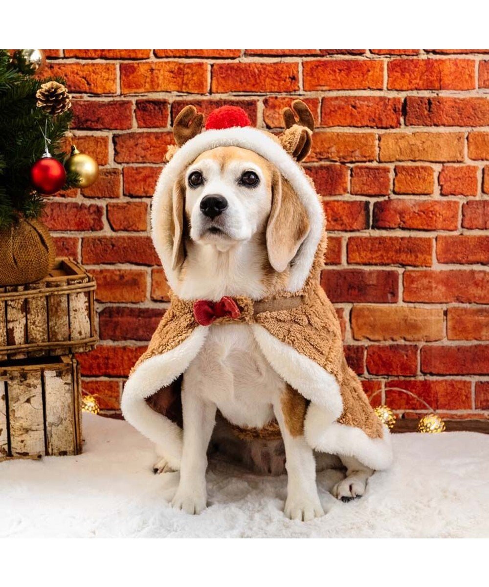 PET PARADISE ペットパラダイス トナカイ ポンチョ 2025 中型犬 大型犬 