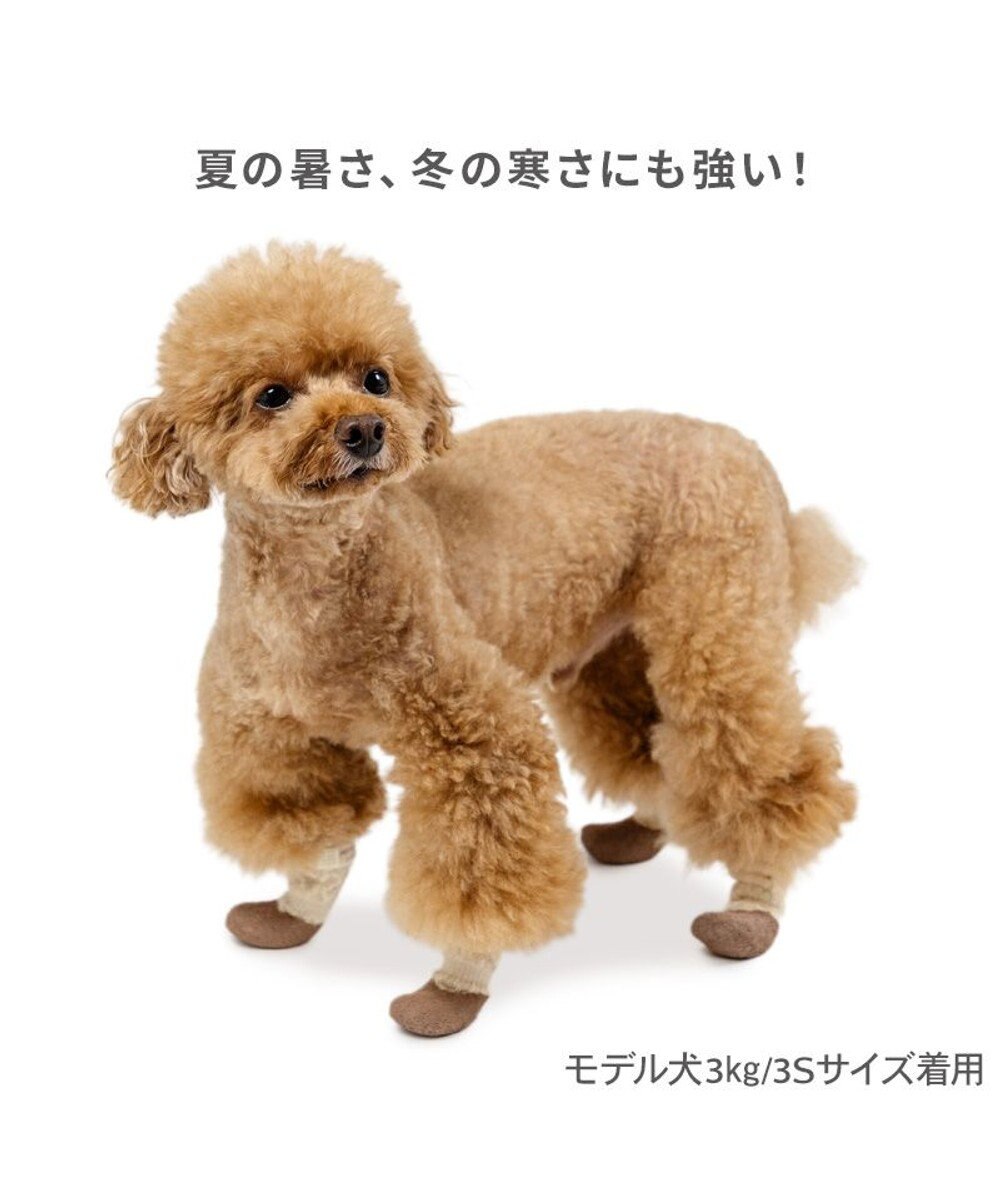 PET PARADISE ペットパラダイス フリル フィット靴 ３Ｓ 