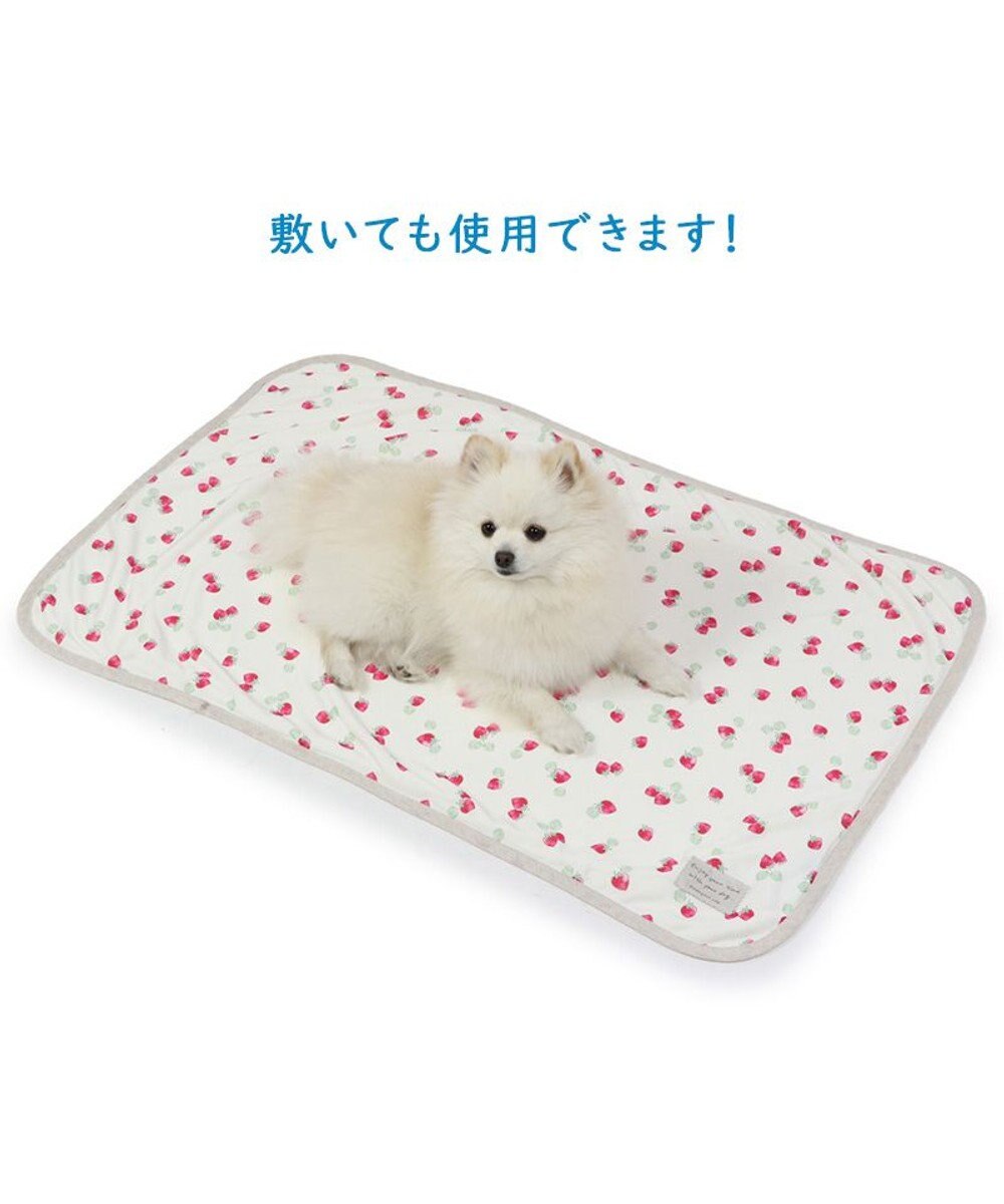 PET PARADISE ペットパラダイス クールブランケット 単品 (90×60cm)  《 苺柄 / ネイティブ柄 》 