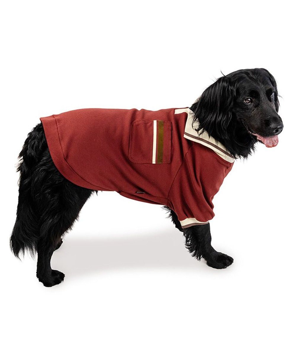 PET PARADISE ペットパラダイス プレミアム ぺティヒート スキッパーＴシャツ 中型犬 大型犬 