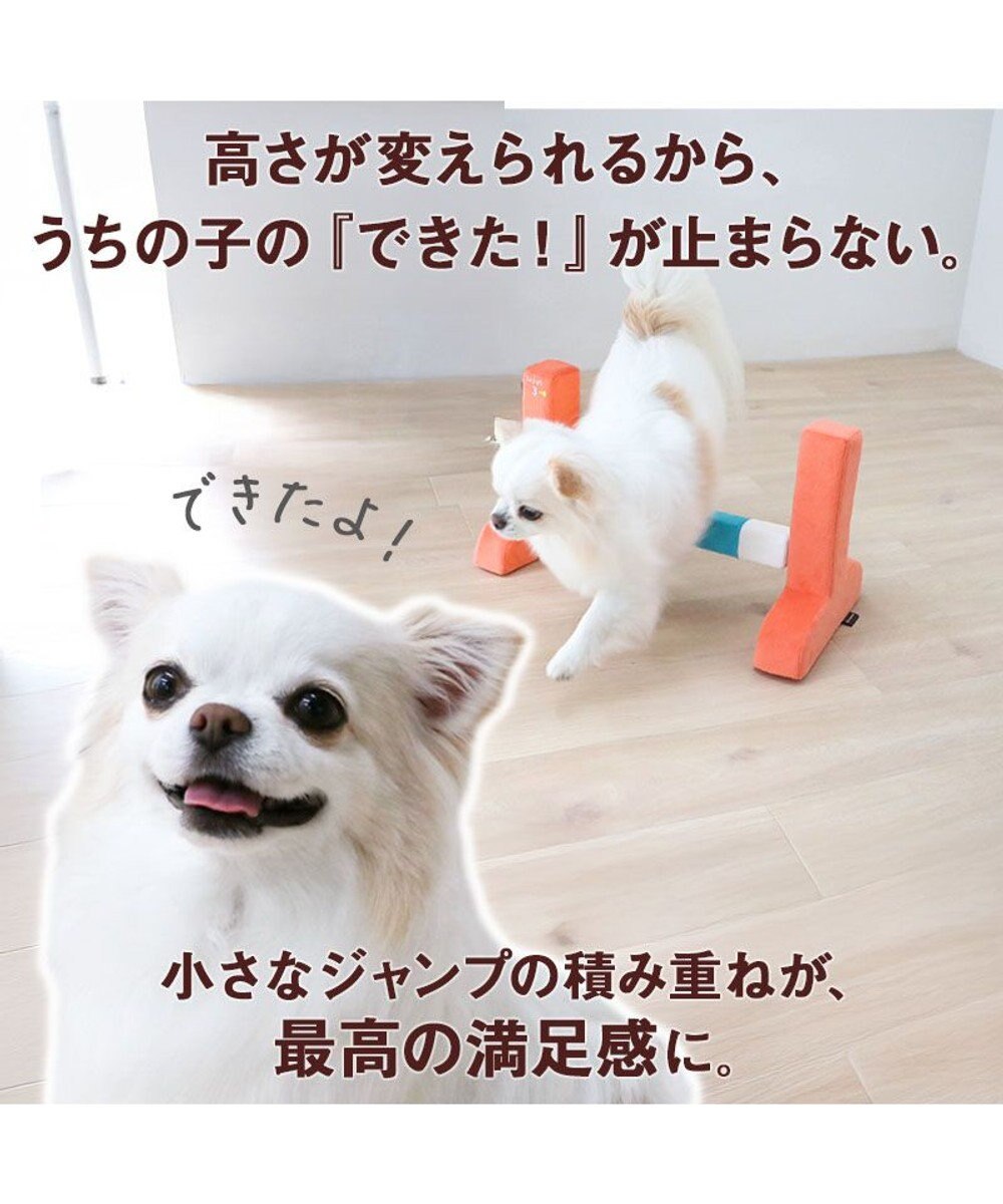 PET PARADISE ペットパラダイス わくわく ハードル トイ 
