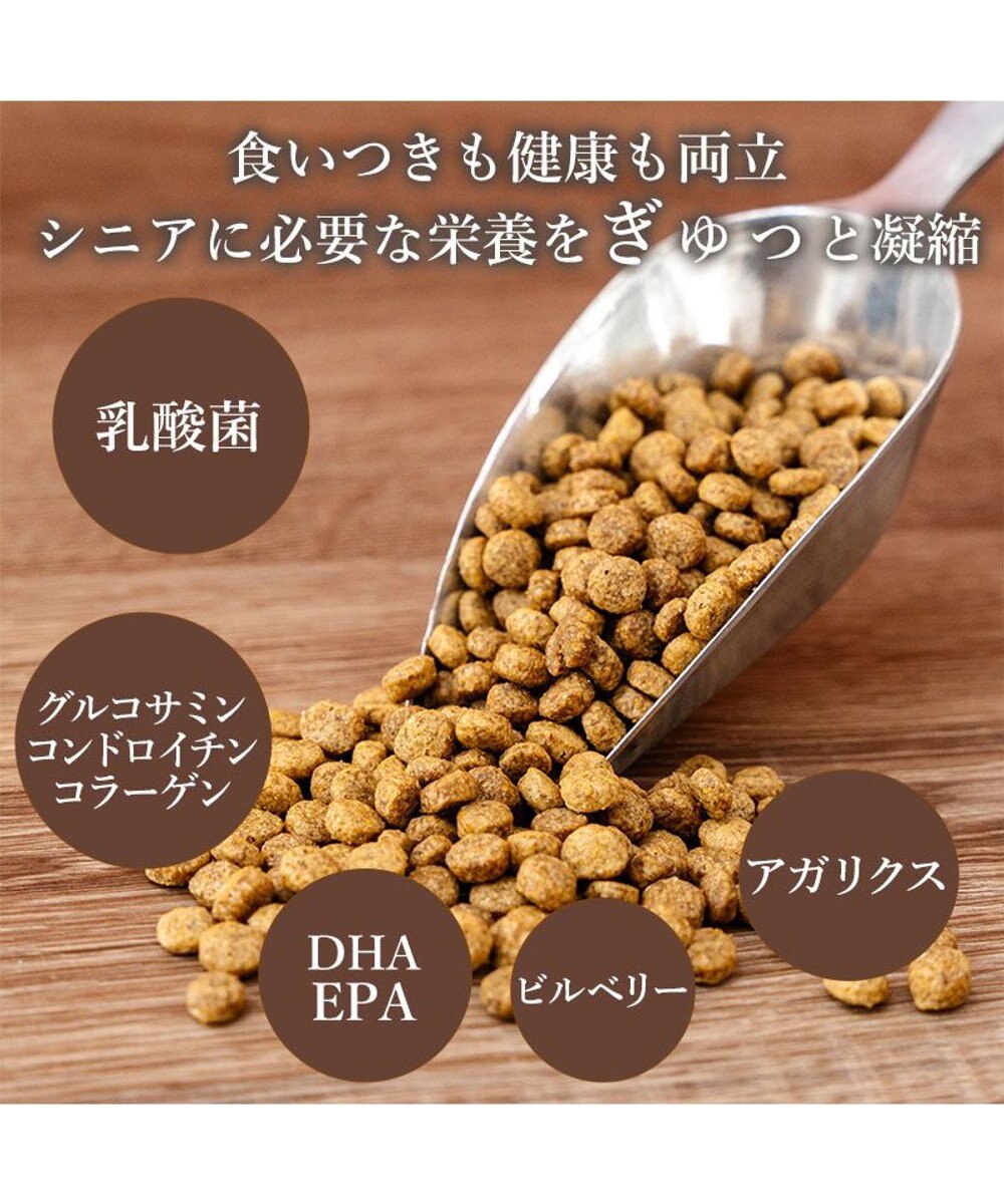 PET PARADISE ビオキッチン エイジングネオ ３ｋｇ 