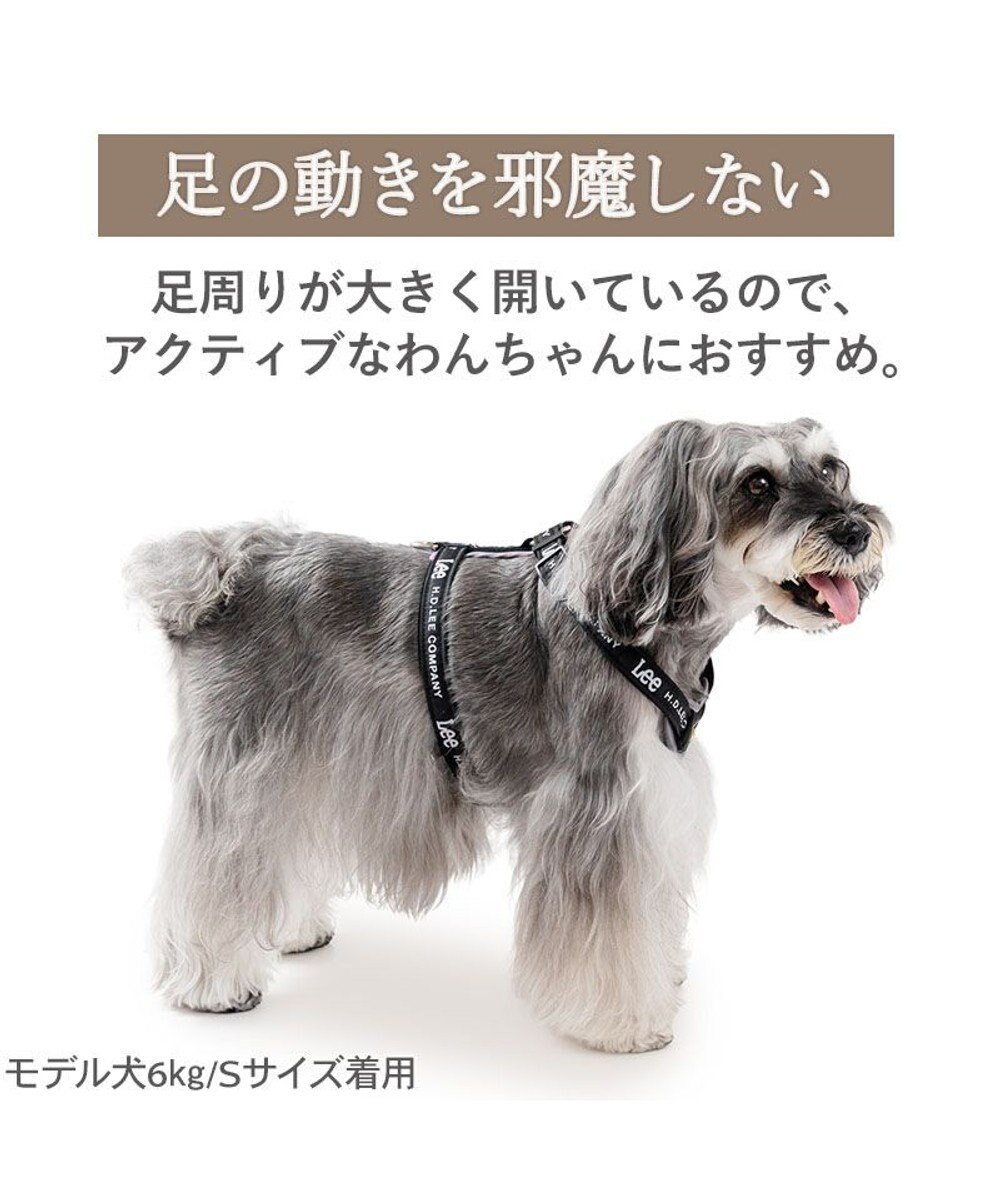 PET PARADISE Lee ロゴアクティブ ハーネス ３Ｓ 