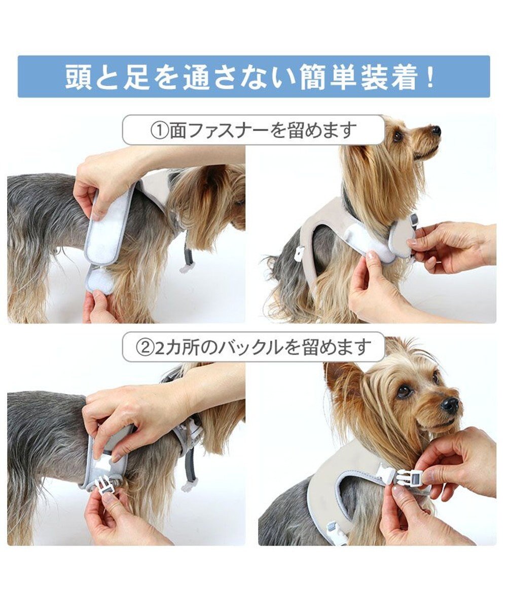 PET PARADISE リサとガスパール 保冷剤付き クール ハーネス 《シトラス柄》  Ｓ 小型犬 