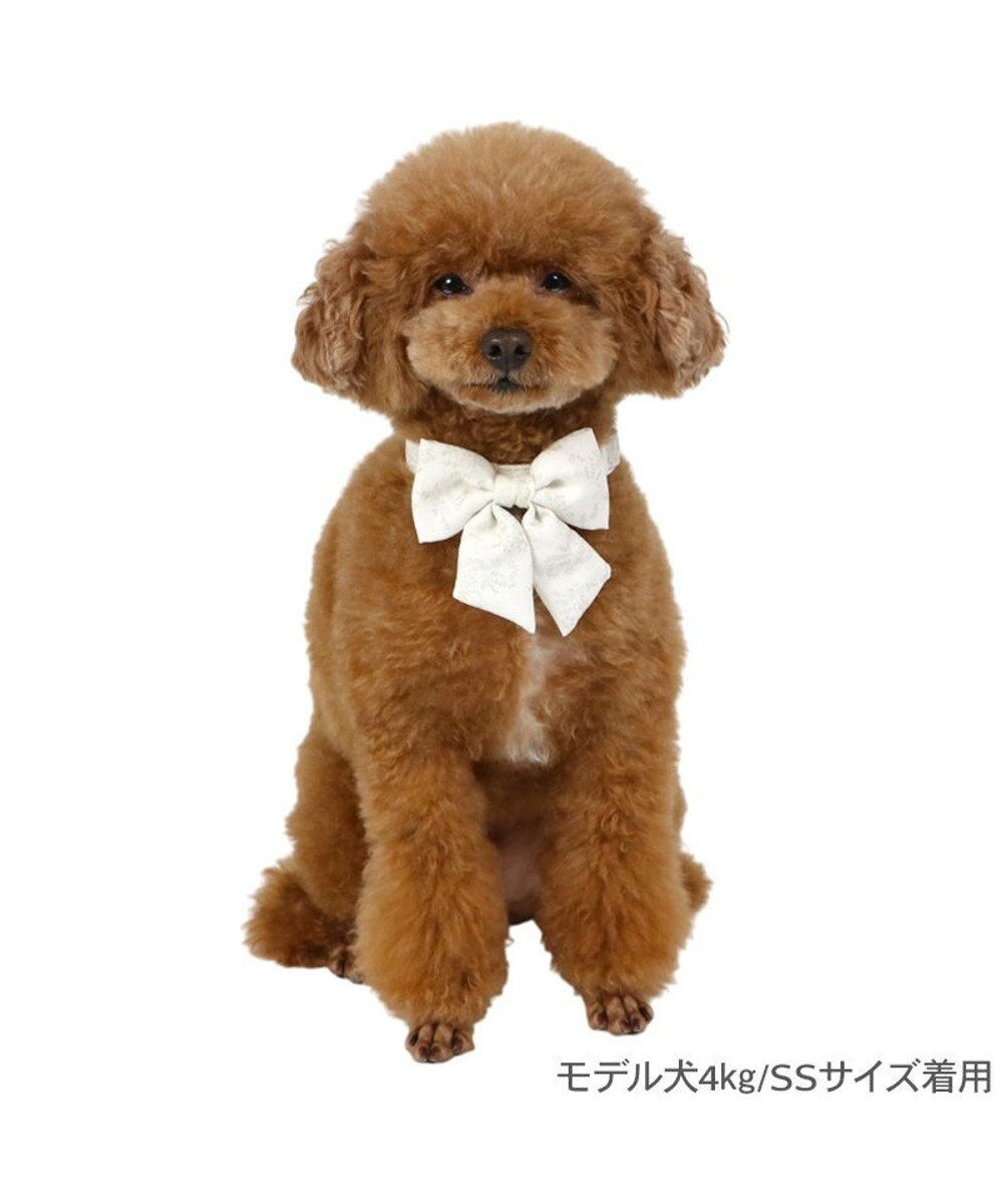 PET PARADISE ペットパラダイス 花柄りぼん 首輪 ＳＳ 小型犬 