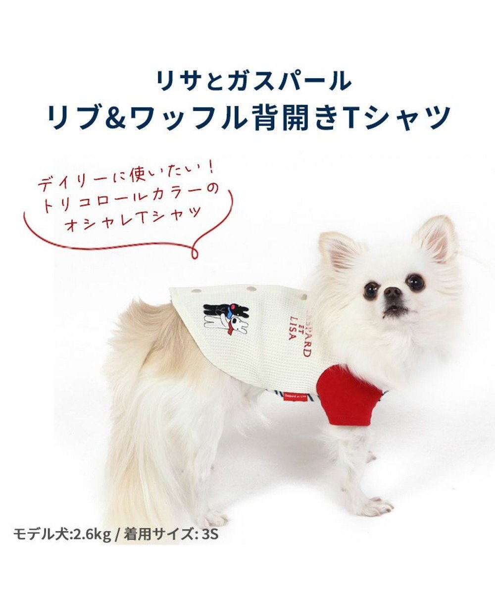 PET PARADISE 犬の服 犬 リサとガスパール 背中開き Ｔシャツ 【小型犬】 リブ 