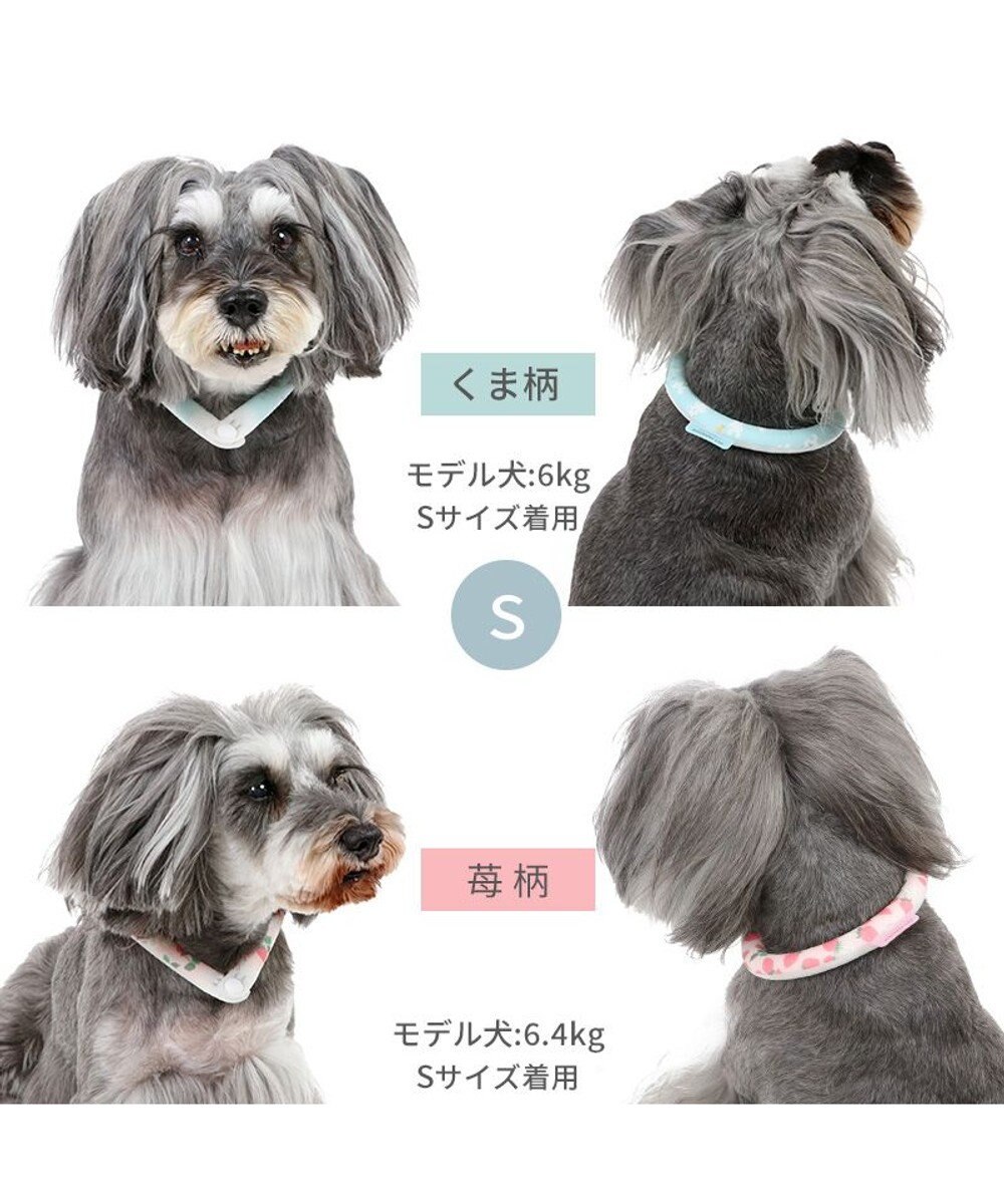 PET PARADISE ペットパラダイス 28℃クールリング SUO 《くま柄》 〔Ｓ〕 小型犬 