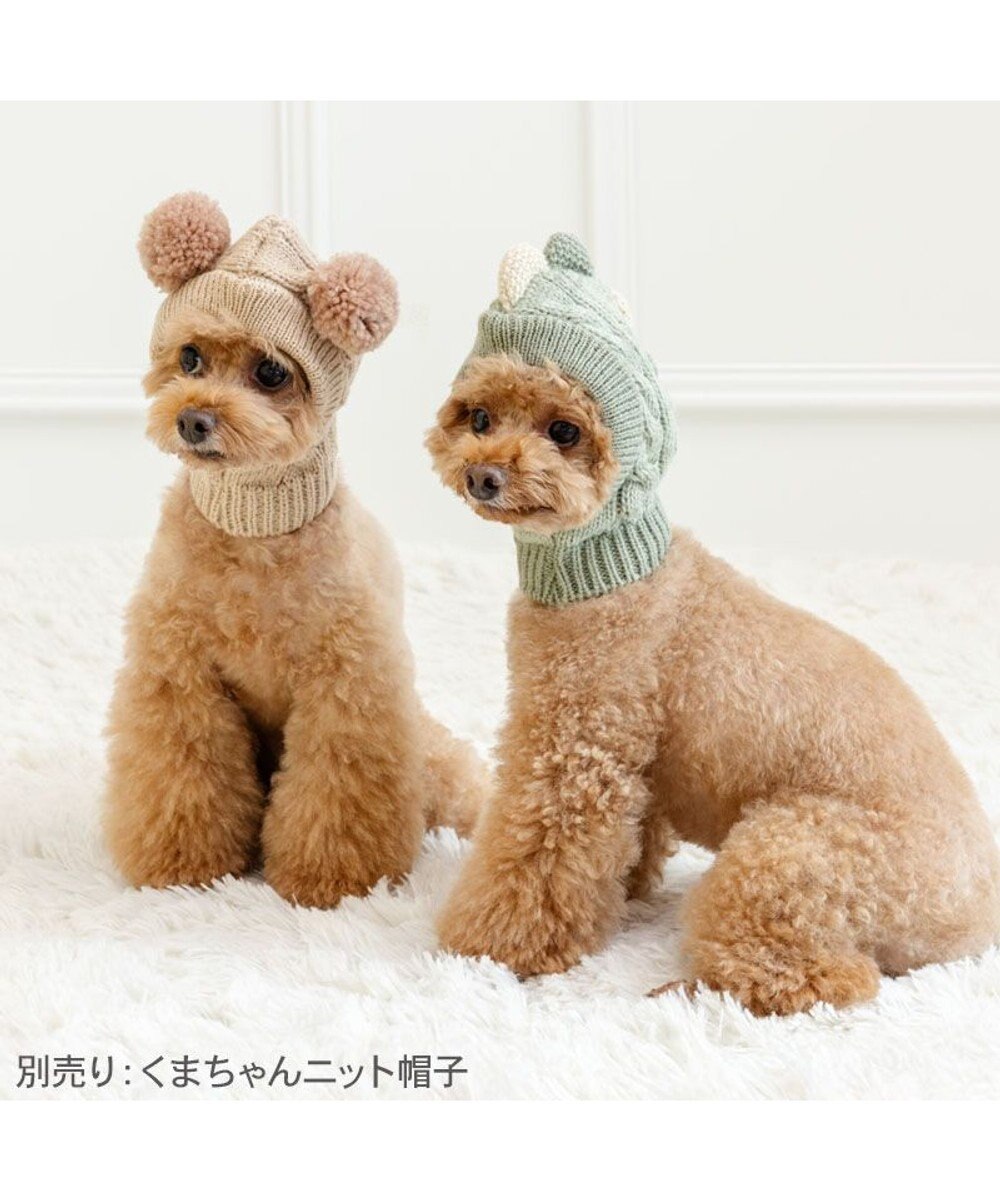 PET PARADISE ペットパラダイス ニット 帽子 《恐竜》 小型犬 