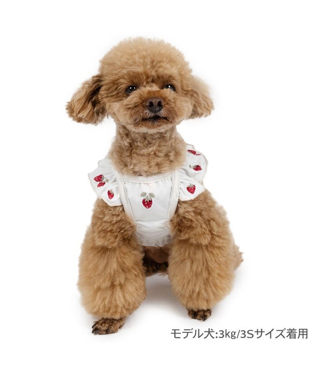PET PARADISE ペットパラダイス エコメッシュ ワンピース 《苺刺繍》 小型犬 
