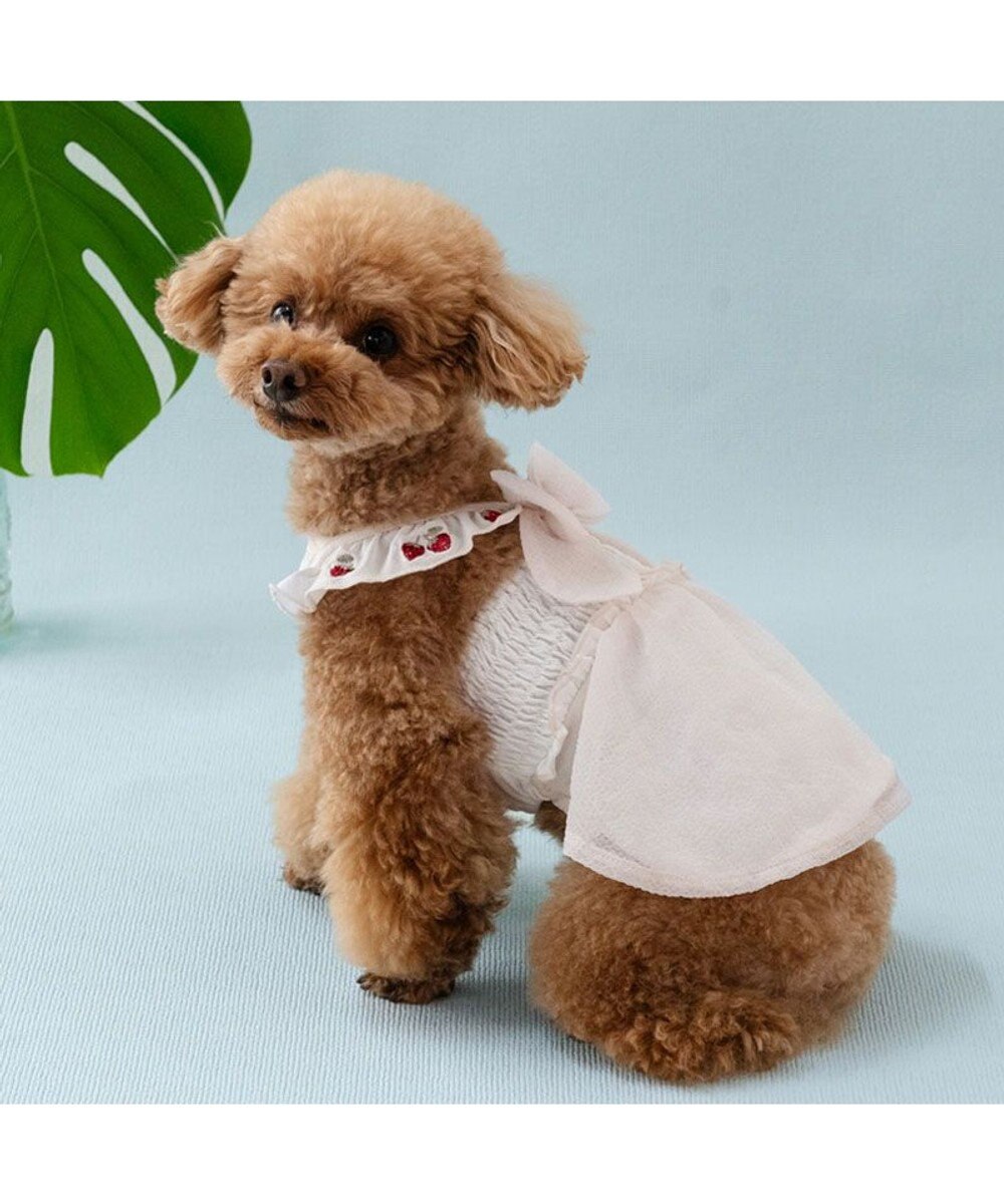 PET PARADISE ペットパラダイス エコメッシュ ワンピース 《苺刺繍》 小型犬 