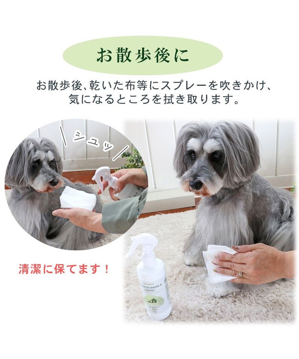 PET PARADISE ペット 消臭スプレー　エチケットウォーターｎ（ネイチャー） 50mL 