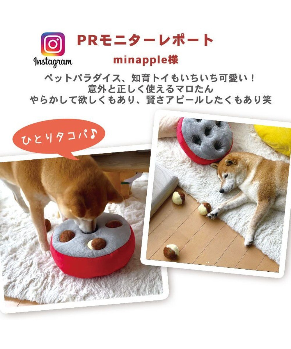 PET PARADISE ペットパラダイス ノーズトイ  《たこやき / 苺ケーキ》単品 