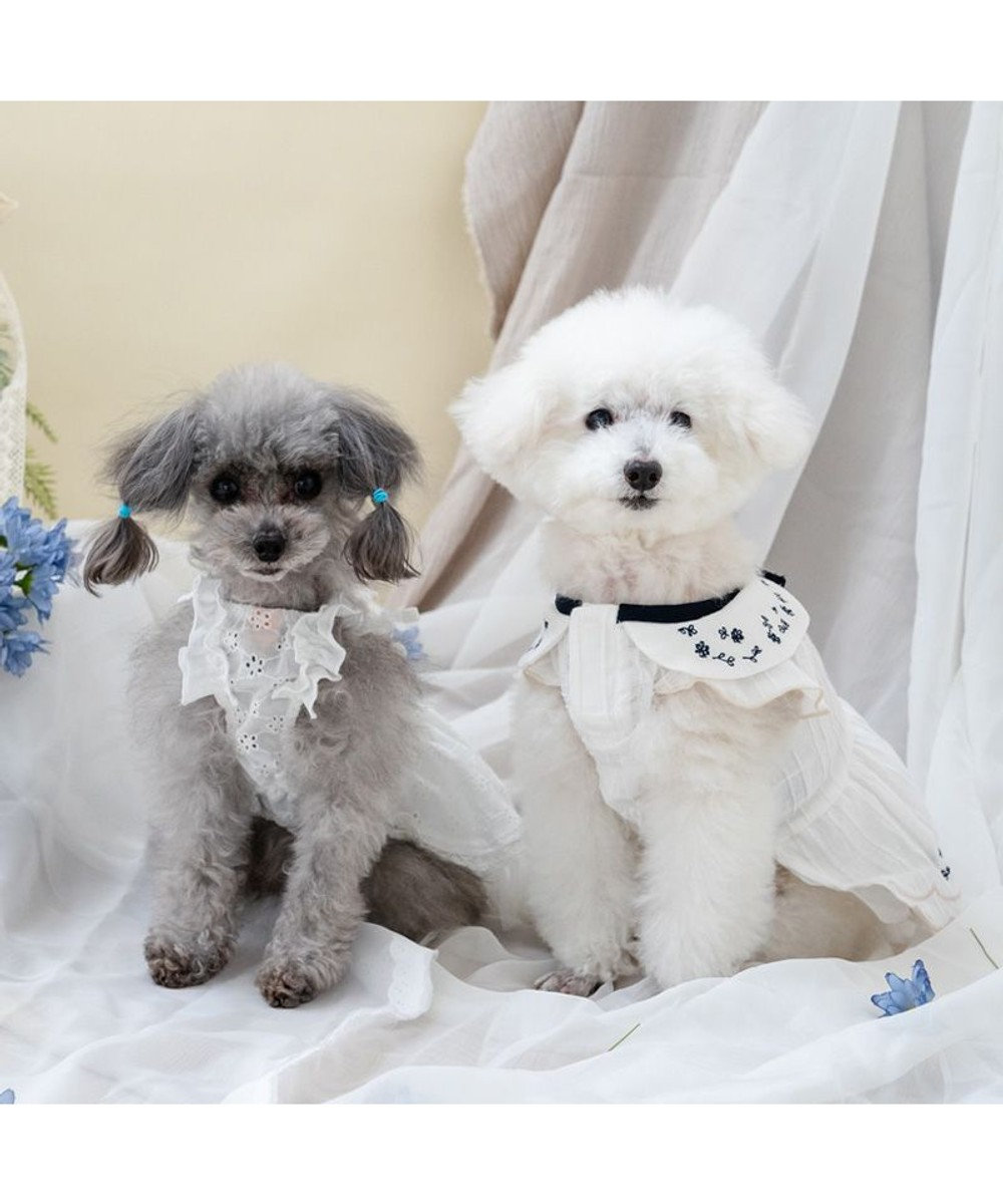 PET PARADISE ペットパラダイス アイレット レース ワンピース 小型犬 