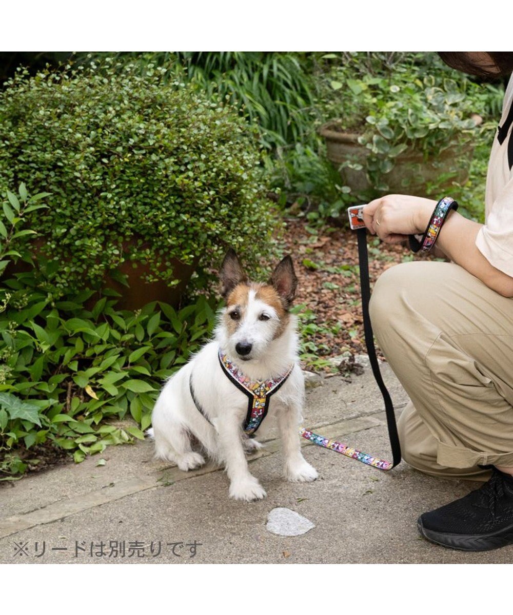 PET PARADISE スヌーピー 75周年 アクティブ ハーネス 小型犬 SS 