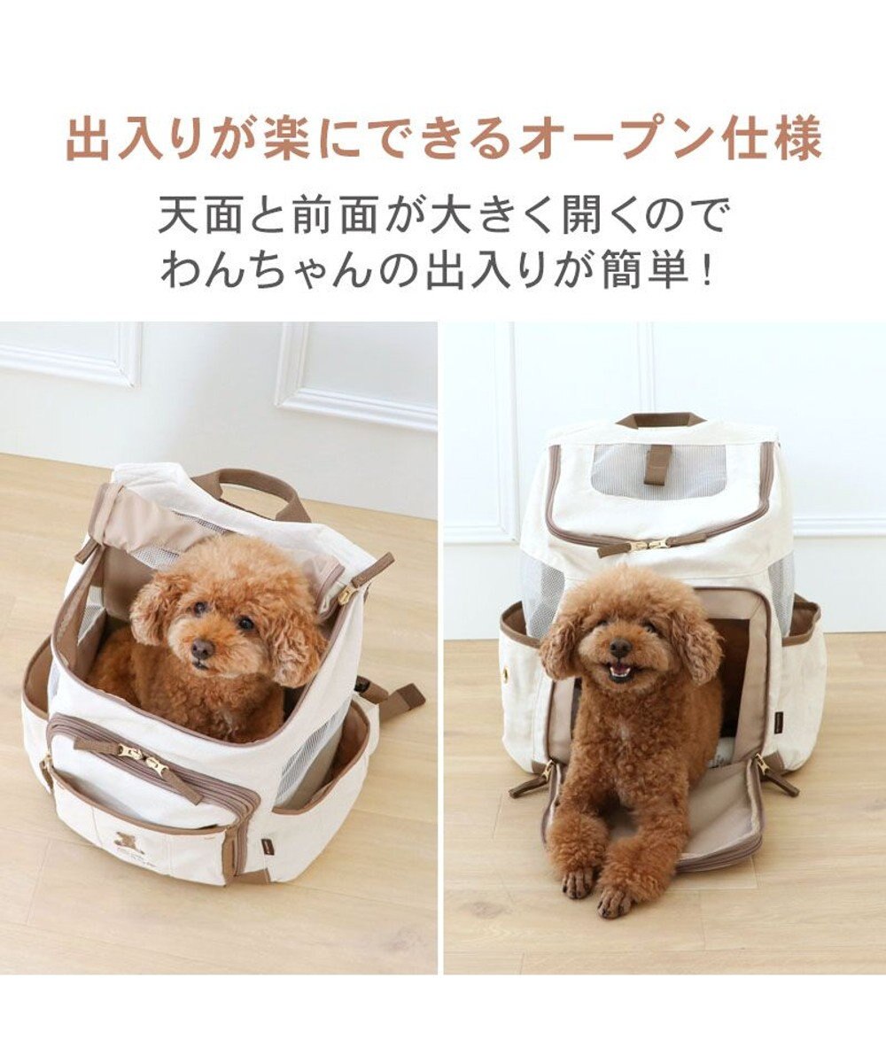 PET PARADISE ペットパラダイス くまちゃん帆布 ハグ＆リュック Ｍ 小型犬 