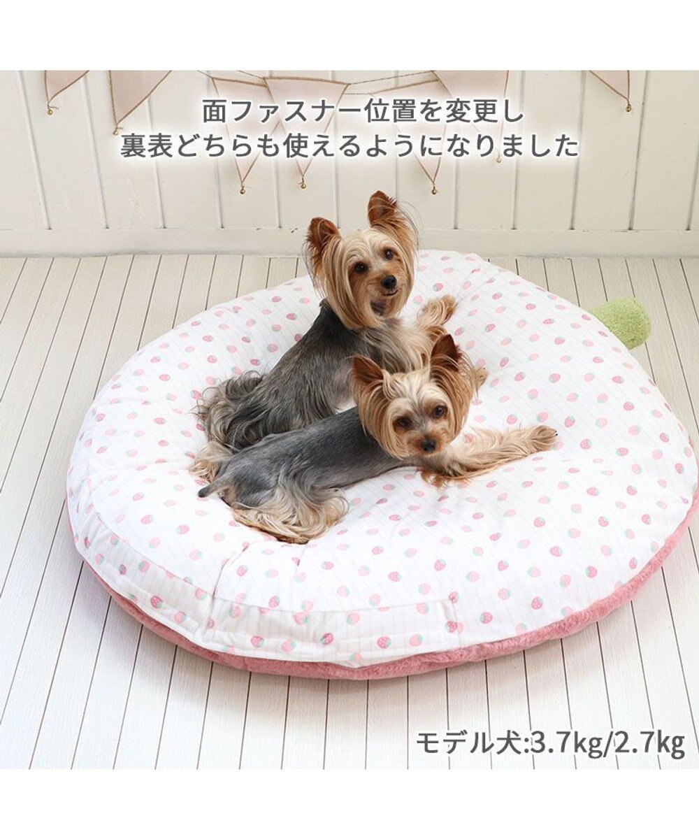 PET PARADISE ネット店限定 ペットパラダイス くすみ苺 クッション L 