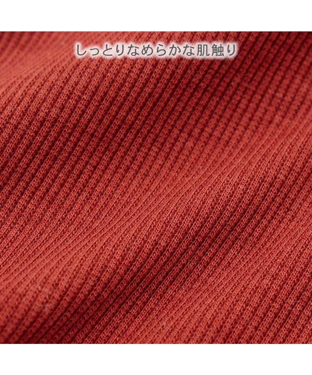 PET PARADISE ペットパラダイス プレミアム ぺティヒート スキッパーＴシャツ 中型犬 大型犬 