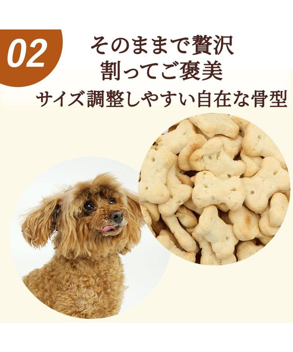 PET PARADISE 国産 りんご ビスケット 100g 