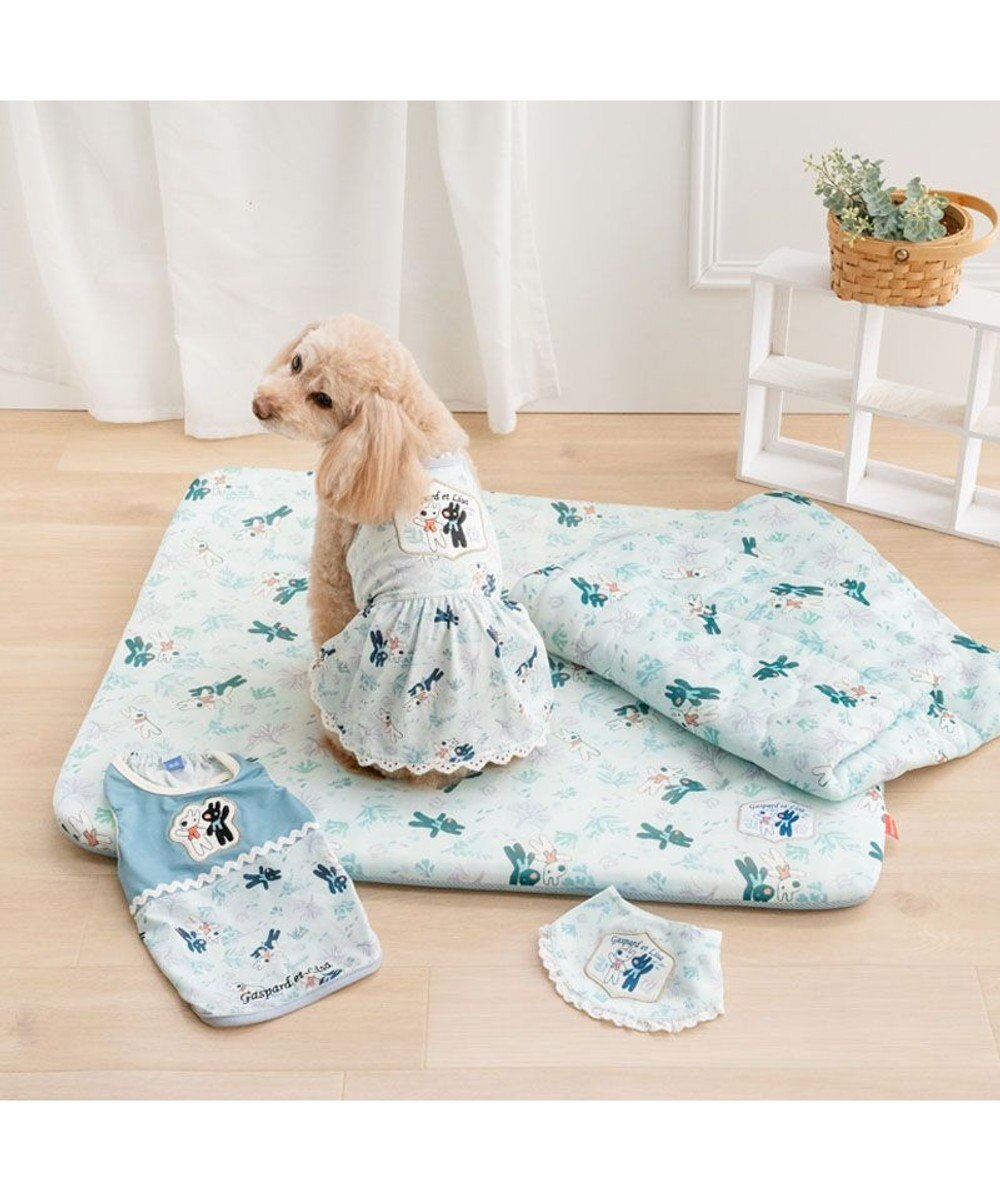 PET PARADISE リサとガスパール もちっと クール マット Ｍ 《海草柄》 