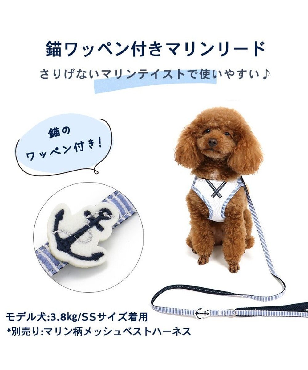 PET PARADISE 犬 リード 【ＳＳ~Ｓ】 小花柄 マリン 