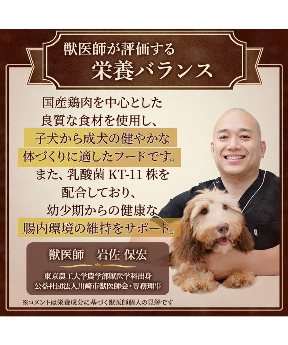 PET PARADISE ペットパラダイス ドッグフード ビオキッチン 3kg 国産 