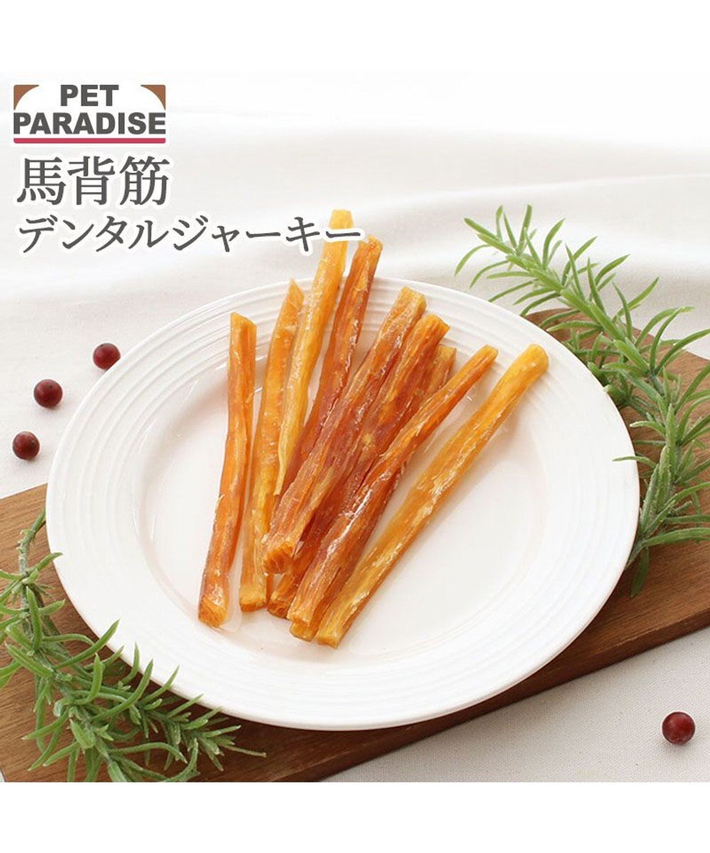 PET PARADISE 馬背筋デンタルジャーキー 40g 