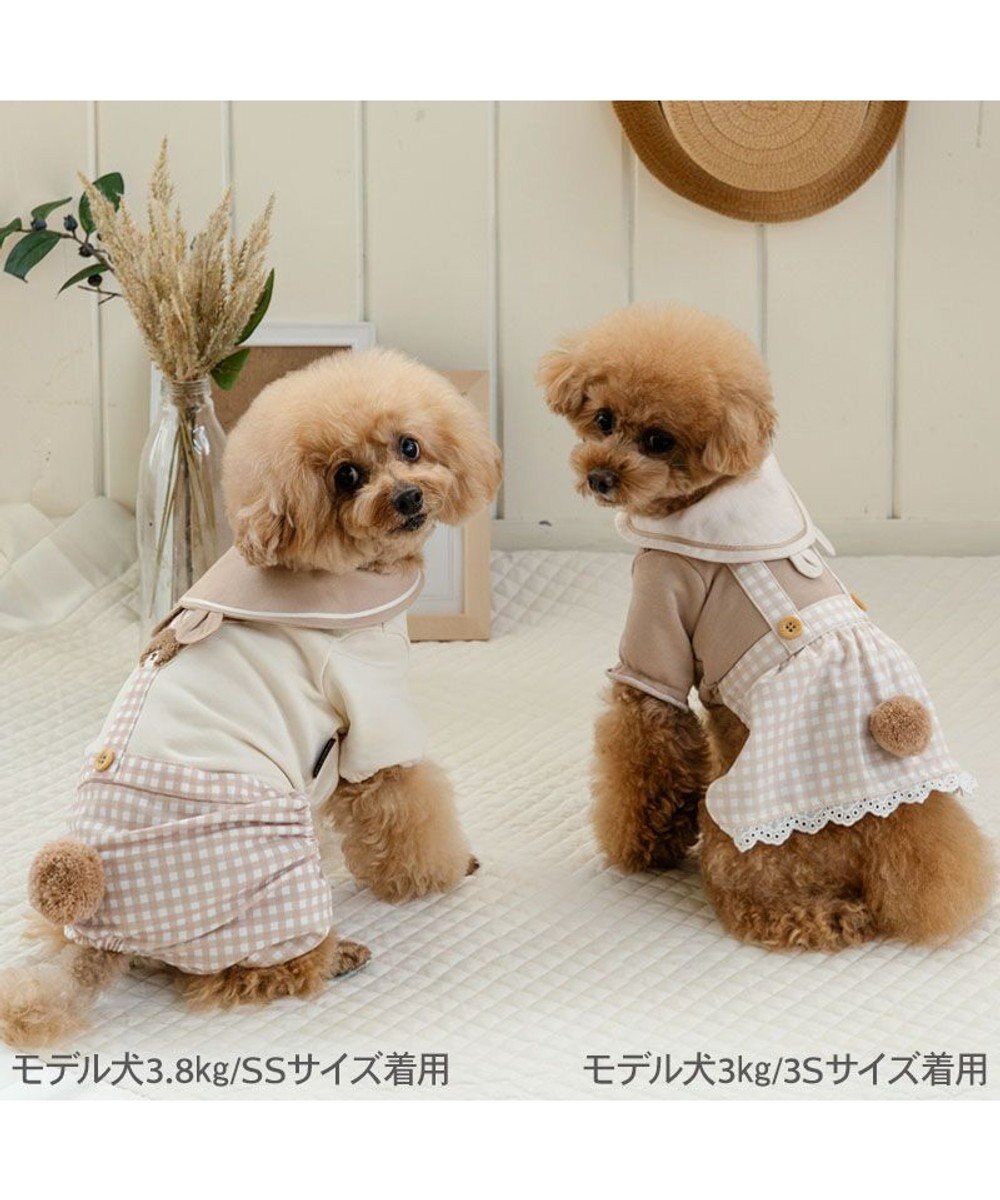 PET PARADISE ペットパラダイス くまちゃん パンツつなぎ 小型犬 
