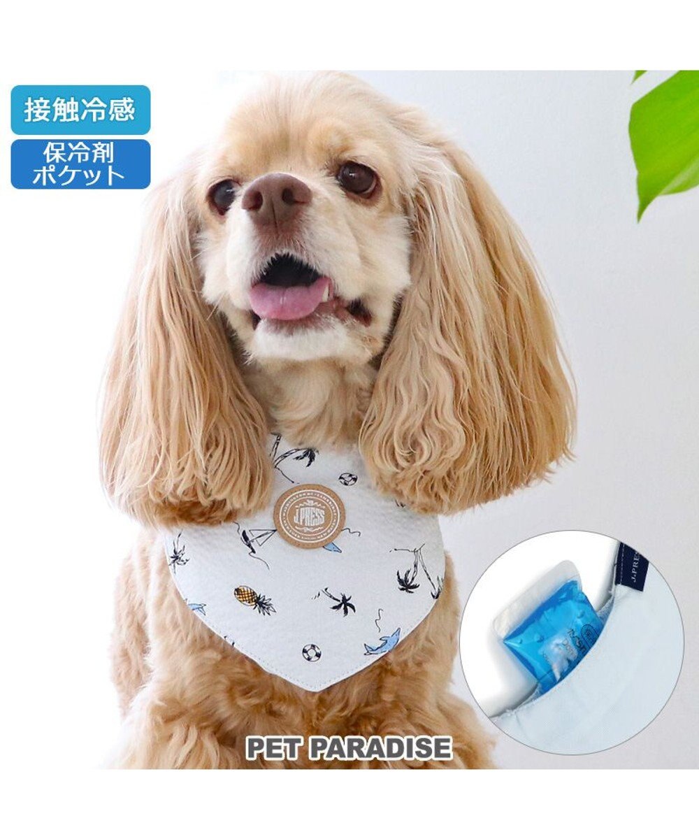 PET PARADISE J.PRESS リップル クールバンダナ 中型犬 