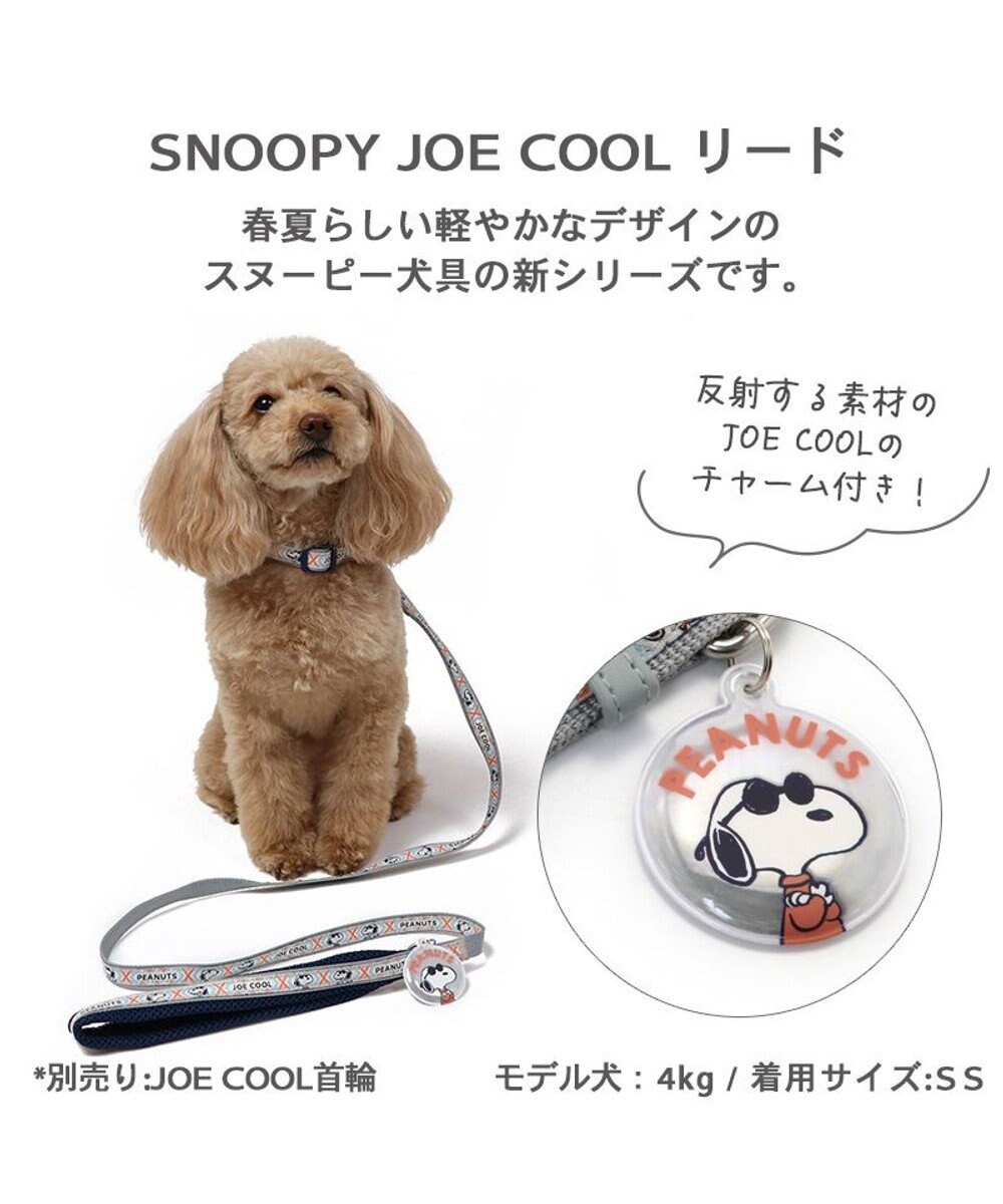 PET PARADISE 犬 スヌーピージョークール 反射 お揃いリード  【ＳＳ~Ｓ】 