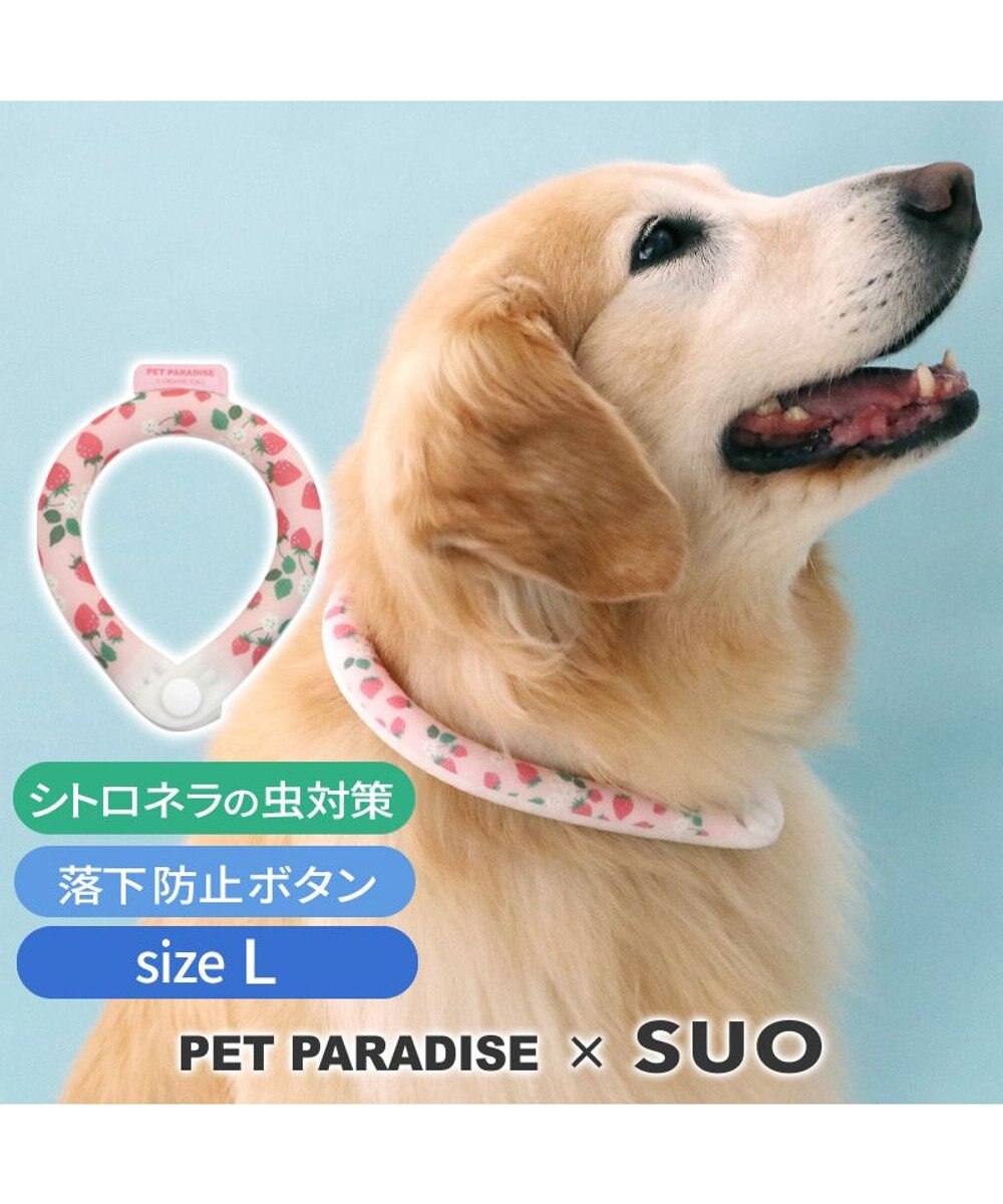 PET PARADISE ペットパラダイス 28℃クールリング SUO 《いちご柄》 〔Ｌ〕 大型犬 