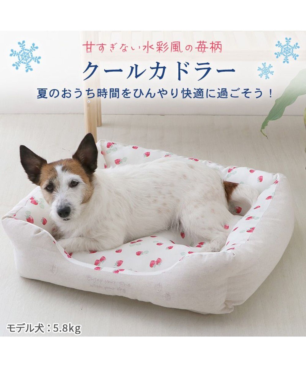 PET PARADISE ペットパラダイス 苺柄 接触冷感 クールカドラーベッド（57×45cm） 